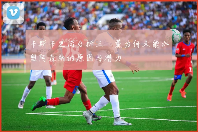 卡斯卡里诺分析三笘薰为何未能加盟阿森纳的原因与潜力